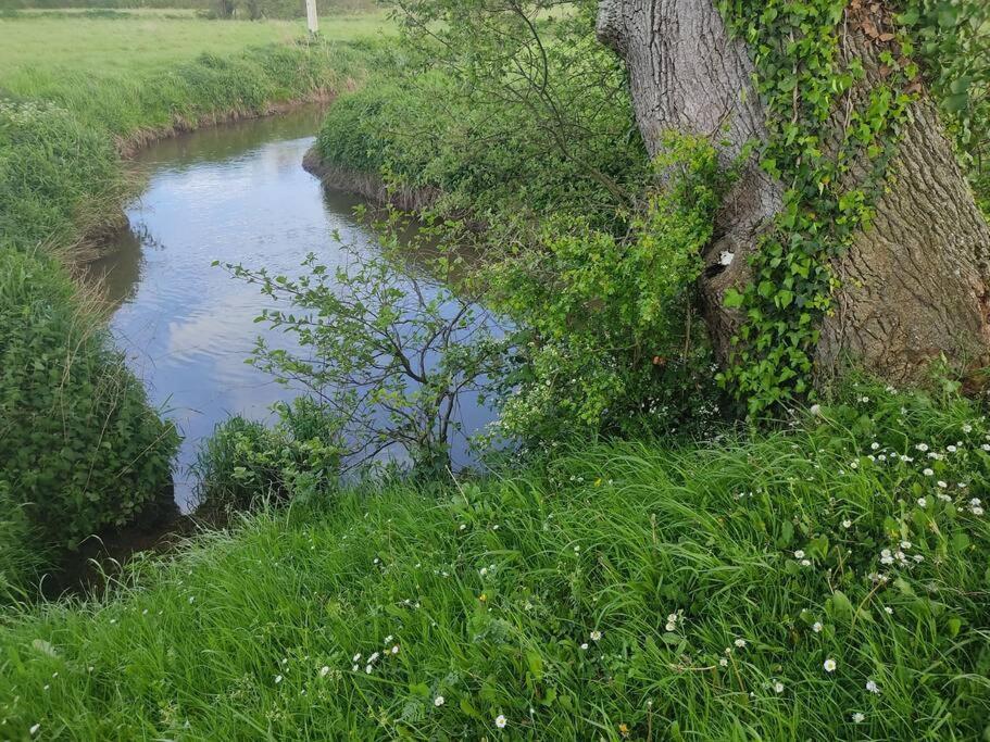 Le Vulcain Apartman Le Hommet-d'Arthenay Kültér fotó